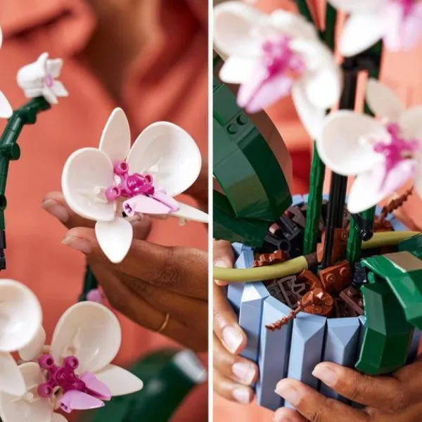 LEGO Lego, Briques Et Blocs<10311 - ® Creator Expert - L'Orchidee