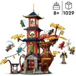 LEGO Lego, Briques Et Blocs<71795 - ® Ninjago - Les Noyaux D'Energie Du Temple Du Dragon