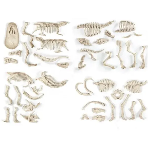Clementoni Jeux Scientifiques<Archeo Ludic - Proies Et Predateurs