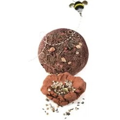 Clementoni Découverte De La Nature<Bombes De Graines - Play For Future