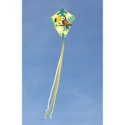 Janod Jeux De Plage<Cerf-Volant Toucan
