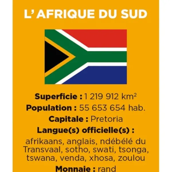 Janod Découvrir Le Monde<Coffret Educatif Cherche Et Trouve - Les Drapeaux