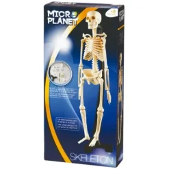 Microplanet Découverte De La Nature<Coffret Science Squelette Corps Humain