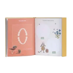 Moulin Roty Coffret Cadeaux, Naissance<Livre De Naissance - Les Trois Petits Lapins