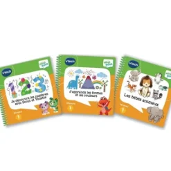 VTech Premiers Apprentissages<Magibook - Mes Premiers Apprentissages - Niveau Maternelle