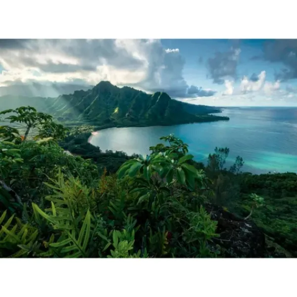Ravensburger Autres Puzzles<Puzzle 5000 Pieces - Vue Sur Hawai
