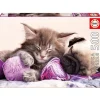 Educa Puzzles Adultes<Puzzle 500 Pieces Compagnons De Reves