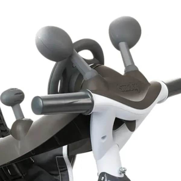 Globber Tricycles<Tricycle Explorer 4 En 1 Iris